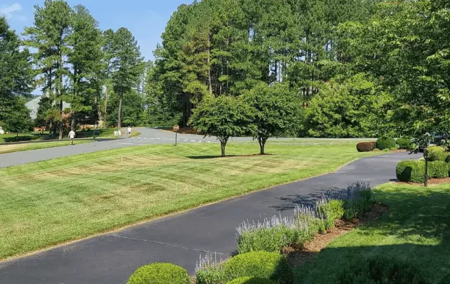 Yard grading for water drainage