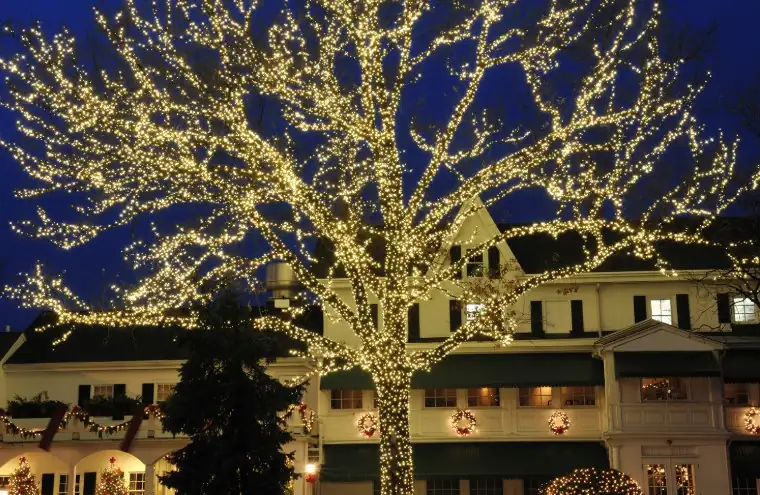 Large building and trees wrapped in holiday lights