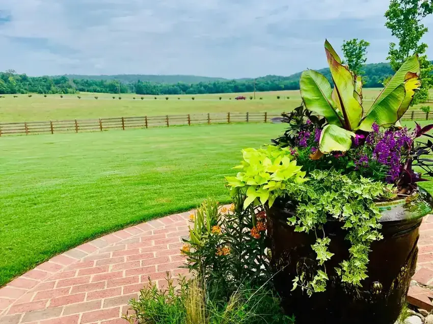 Landscaped property with mountain view