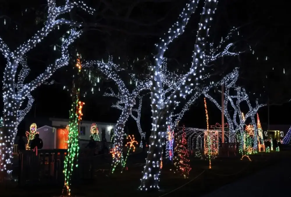 Holiday lighting installation