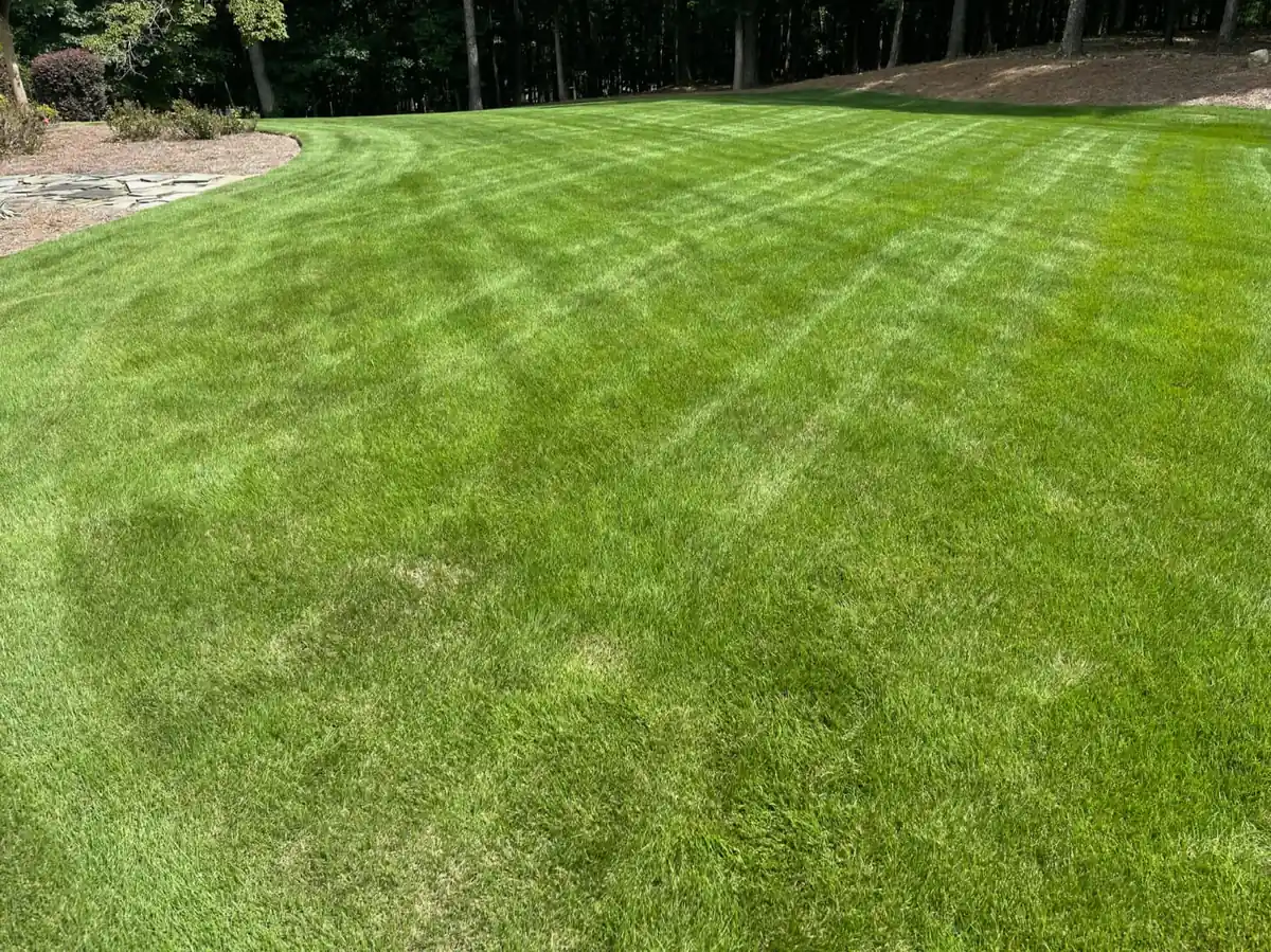 Crosshatch-mowed lawn pattern