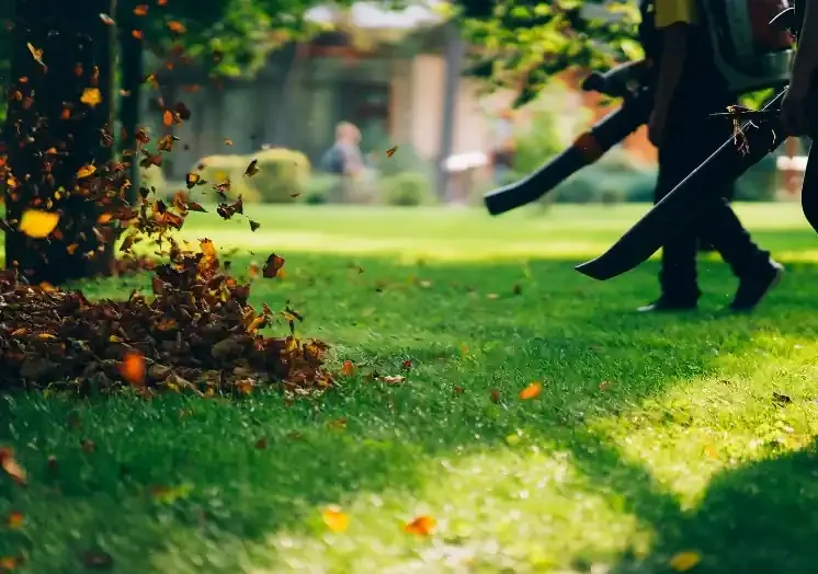 Leaf blower clearing yard debris — leaf removal services in Charlottesville, VA